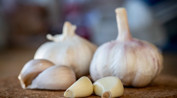 A closeup of garlic bulb and cloves on a round cork board